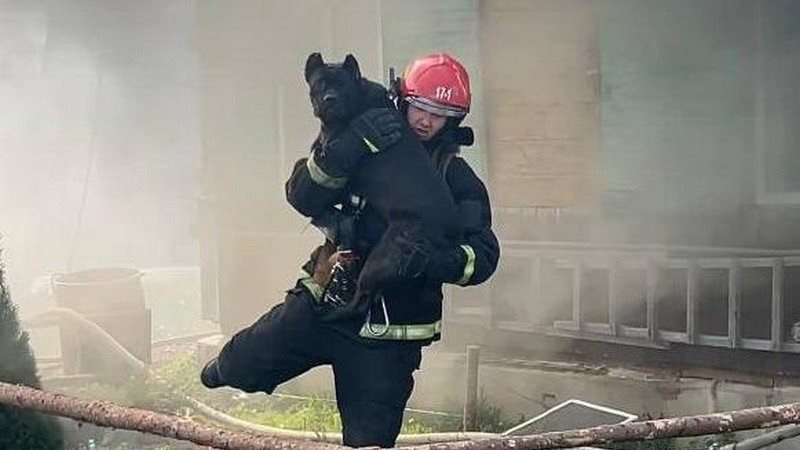 На пожаре в Слуцком районе работники МЧС спасли собаку