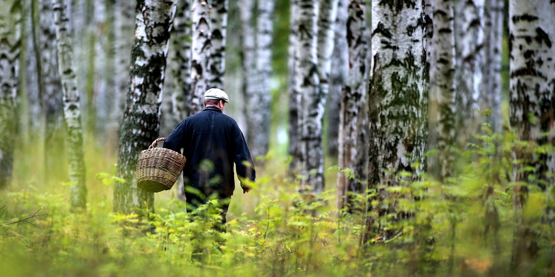 В Минском районе спасатели нашли заблудившегося в лесу пенсионера