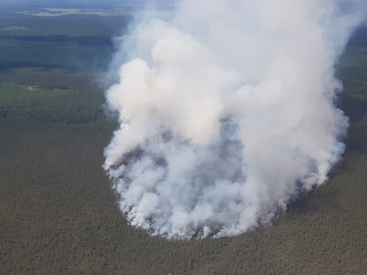 Завершена ликвидация лесного пожара в Пуховичском районе 