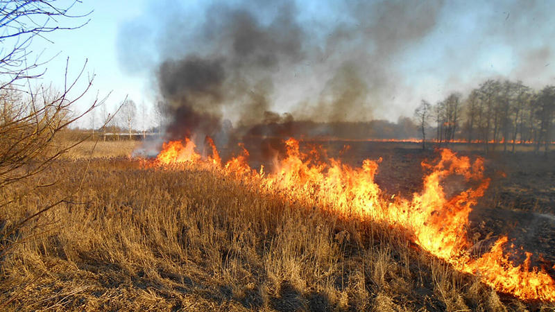Обочины дорог окутаны дымом: в Беларуси начался весенний пожароопасный период