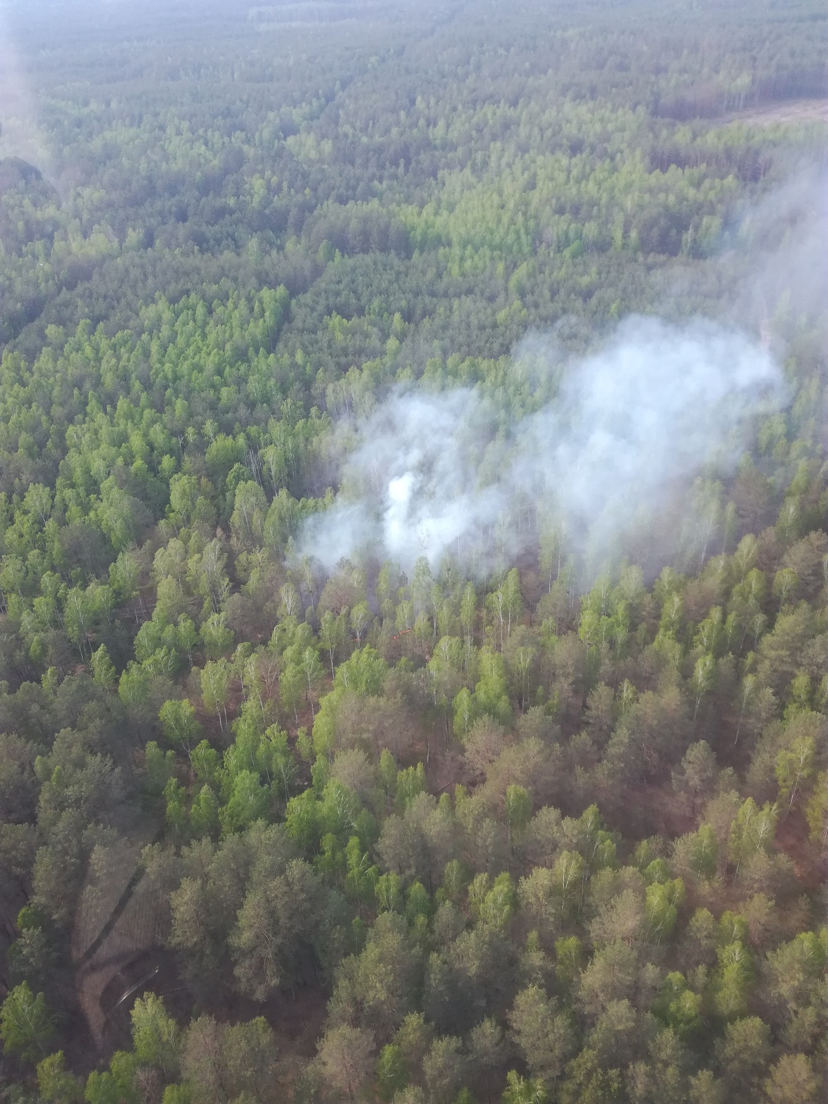 Авиация МЧС за сутки обнаружила четыре пожара в экосистемах