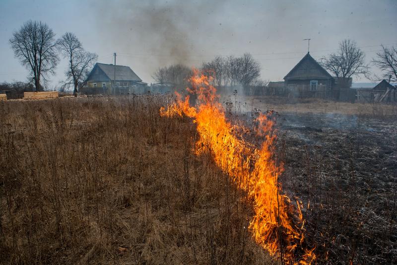 В Горецком районе мужчина погиб во время выжигания сухой травы