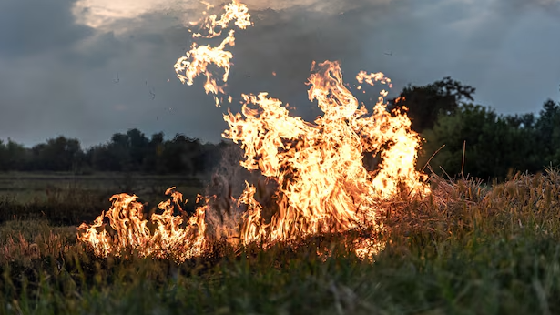 Пожар на ферме вблизи деревни Горностайлово