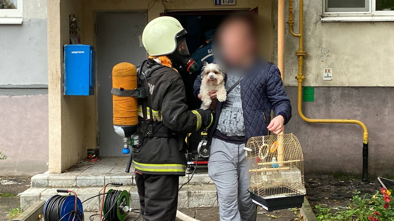 Пожар в Минске: спасены 3 человека, еще 8 эвакуированы