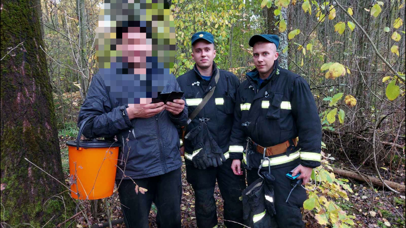 Семь человек за сутки нашли спасатели в лесах Витебщины 