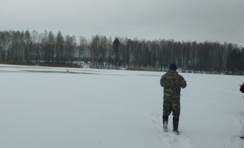 В Беларуси олень провалился под лед. Видео спасения